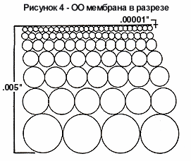 Рисунок 4 - Мембрана в разрезе